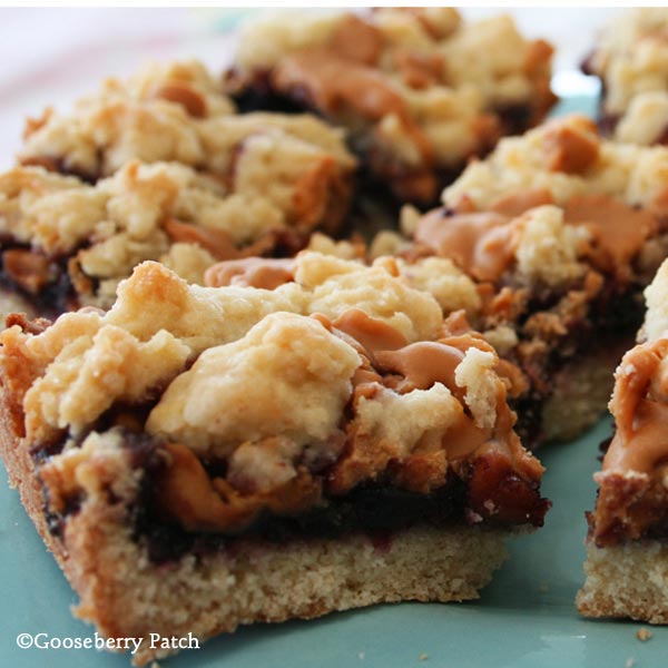 Gooseberry Patch Recipes Momma's PBJ Bars from BestEver Cookies